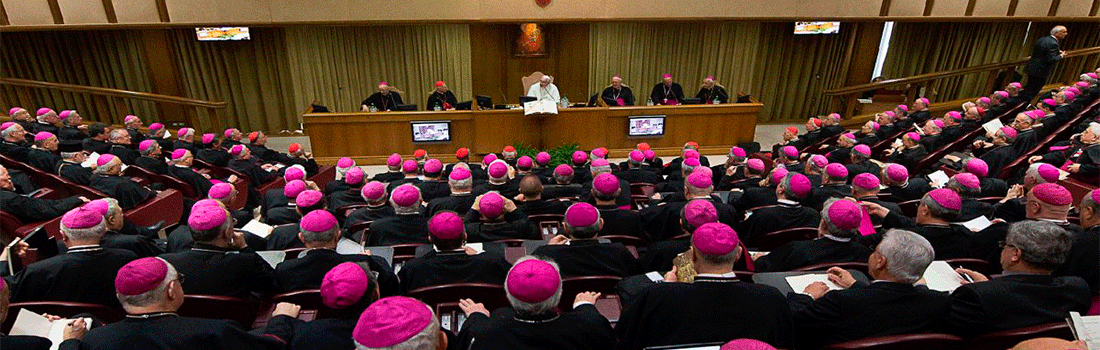 Iglesia de América Latina y el Caribe presente en las comisiones del Sínodo de Obispos