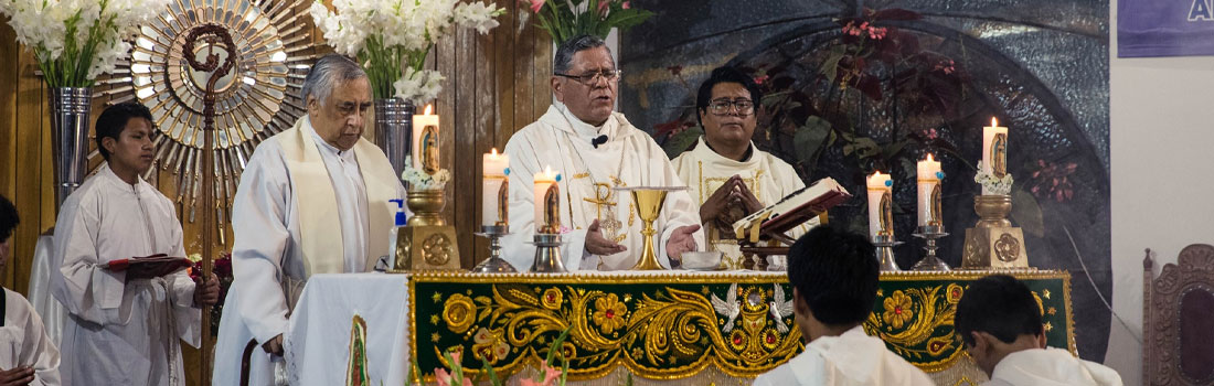 Santa Misa Central en honor a la Virgen de Guadalupe